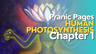 Human Photosynthesis 101 Chapter 1  Elitom Elamin  Breatharianism [upl. by Jephum]