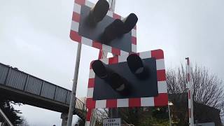 Rainham Level Crossing with New Lights Boxing Day [upl. by Nylidam762]