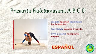 6 Prasarita Padottanasana A B C D en ESPAÃ‘OL [upl. by Dyal]