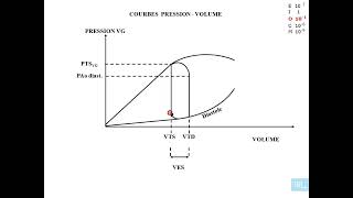 7  Physiologie cardio vasculaire partie 7 [upl. by Enilorac102]