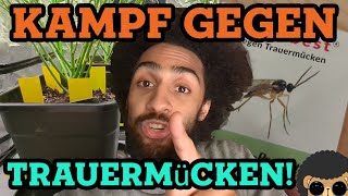 Nematoden vs Trauermücken  Extra SANLIGHT für AUTOFLOWERS Growlog 18 [upl. by Ynnal]