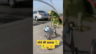 तोते की BMW 🦜🤗😜shorts [upl. by Markos]