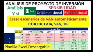 Análisis Proyecto Inversión Puntos Críticos Escenarios VAN sensibilidad Y Si flujo caja TIR [upl. by Ecnadnak]