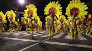 Comparsas Ritmo y Armonía · Carnaval 2014 · Santa Cruz de Tenerife [upl. by Mitinger]