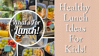 Healthy Packed lunch For Kids  Packed lunch Ideas  What I Gave My Children For The Week [upl. by Cathyleen649]