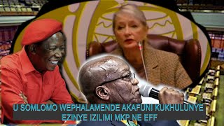 USOMLOMO WEPHALAMENDE UPHIKISA MKP NE EFF KUTHI BAKHULUME ISIZULU NGOBA YENA AKEZWA [upl. by Noryb]