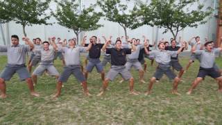 Waikato Taniwharau School Haka [upl. by Agathy]