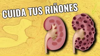 DIETA PARA CUIDAR EL RIÑÓN previene el daño renal tratamiento natural [upl. by Alidus]