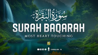 Worlds most relaxing HEART TOUCHING Surah AlBaqarah Full سورة البقره  Zikrullah TV [upl. by Fridlund654]