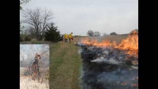 Prescribed Burn 1 Fireguards  Firebreaks 1 of 3 [upl. by Casaleggio]