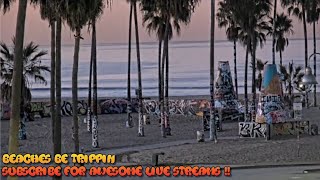 Venice Beach Santa Monica Webcam  Venice Beach Live Cam [upl. by Georg685]