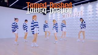 ENHYPEN 엔하이픈  TamedDashed  Dance Cover by ELASTIC [upl. by Darom903]