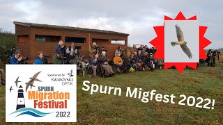 Spurn Migration Festival 2022 [upl. by Misty689]