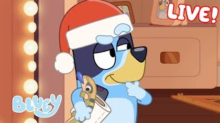 🔴LIVE Its a Bluey Christmas  40 MINUTES  Bluey [upl. by Asilrahc]