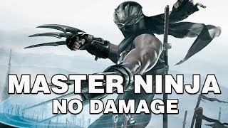 Ninja Gaiden 2 Master Ninja No Damage WORLD FIRST [upl. by Britt]