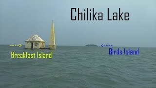 Chilika Lake  Jewel of Odisha  Tourist Place  Rambha Chilika  Odisha  India [upl. by Tocci342]