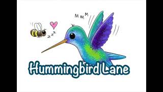 Childrens Sleep Meditation Story  Hummingbird Lane [upl. by Alehtse576]