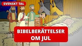 Bibelberättelser om JUL för barn 🎁  Svenskt tal [upl. by Champagne]