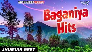 BaganiyaHits  Zubeen Garg New Chaybaganiya Gaan  Best Of Baganiya  Zubeen Hero Album All Song [upl. by Solim941]