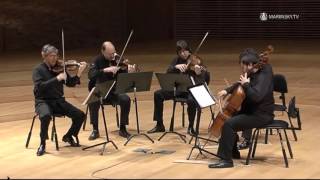 Franz Schubert String Quintet in C Major D 956 [upl. by Haela]