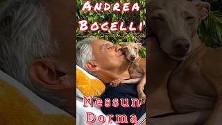 Andrea Bocelli sings quotNessun Dormaquot [upl. by Ladew208]