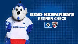 Dino Hermanns GegnerCheck  FC Ingolstadt  HSVFCI [upl. by Oznerol]