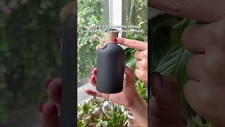 Quick tips to stop algae from growing in your propagation water propagation waterpropagation [upl. by Tigram]