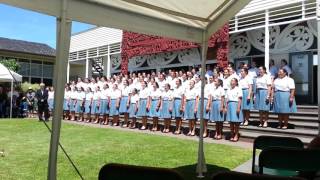 Hato Hohepa powhiri 2017 c [upl. by Terryn687]