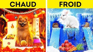 CHIEN DE FEU VS LAPIN DE GLACE  Maison Dingue pour ANIMAUX  Chaud VS Froid par 123 GO CHALLENGE [upl. by Biddle]