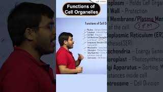 Functions of Cell Organelles Trick  biology shorts cellmembrane cellwall  InfinityLearn910 [upl. by Toille]