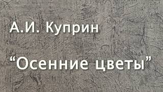 АИ Куприн quotОсенние цветыquot Рассказ Читает Вера Петлина Аудиокнига [upl. by Nilat]