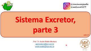 Morfofisiologia Comparada Sistema Excretor parte 3 27 [upl. by Nomsed]