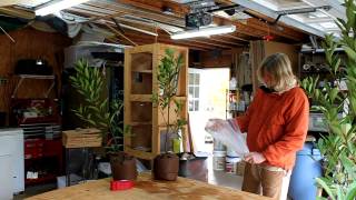 Paleoman Jim Rodgers packing plants for shipping at Nearly Native Nursery [upl. by Mendelsohn]