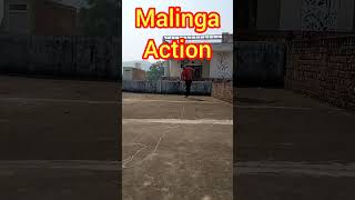 MALINGA BOWLING ACTION viralcricket circketteam cricketmatch cricketbowling malinga [upl. by Ashla]