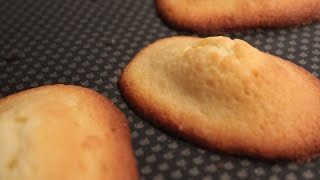 recette des madeleines maison [upl. by Adniled864]