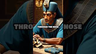 Unveiling Mummification Secrets of Egypt [upl. by Notsud]