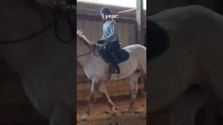 1 year horse riding anniversary dressage equestrian horse horseriding [upl. by Range]