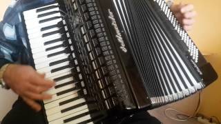 Weltmeister Meteor 120 Bass LMMH Accordion Fisarmonica Black  Case 1 [upl. by Sivatco]