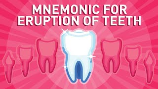 Eruption of Teeth  Mnemonic [upl. by Hamilton]