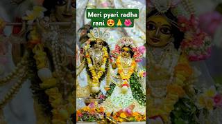 Radha rani badi pyari lageshortvideo trendingshorts radheshyam [upl. by Ahsinwad]