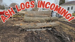 How big of a log can a Kioti DK5320 compact tractor pick up The answer will surprise you [upl. by Rowe295]