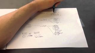 DNA and RNA Viruses Mnemonic for USMLE Step 1 [upl. by Sauers]