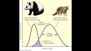 Behavioral Ecology Agonistic behavior Territorial behavior [upl. by England]