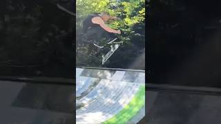 Forrest miniramp life skateboarding love youtubeshorts skateboard skate skater skatepark [upl. by Atinram]