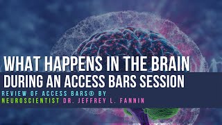 Review of Access Bars® by Neuroscientist Dr Jeffrey L Fannin [upl. by Scharaga]