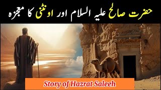 Prophet Saleh AS Story in Hindi  Urdu  Kiran Fida  Prophet Serieskiranfidastories islamic [upl. by Haeli947]