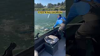 TYEE 40 pound KING SALMON caught on 360 ProTroll flasher 92724 [upl. by Raseac629]