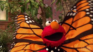 Sesame Street Season 48 Elmos Butterfly Friend [upl. by Erdried]