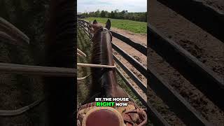 Exploring Equestrian Life on Our Ranch  Horseback Riding [upl. by Norac]