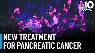 New pancreatic cancer treatment developed at UMass [upl. by Halsy634]